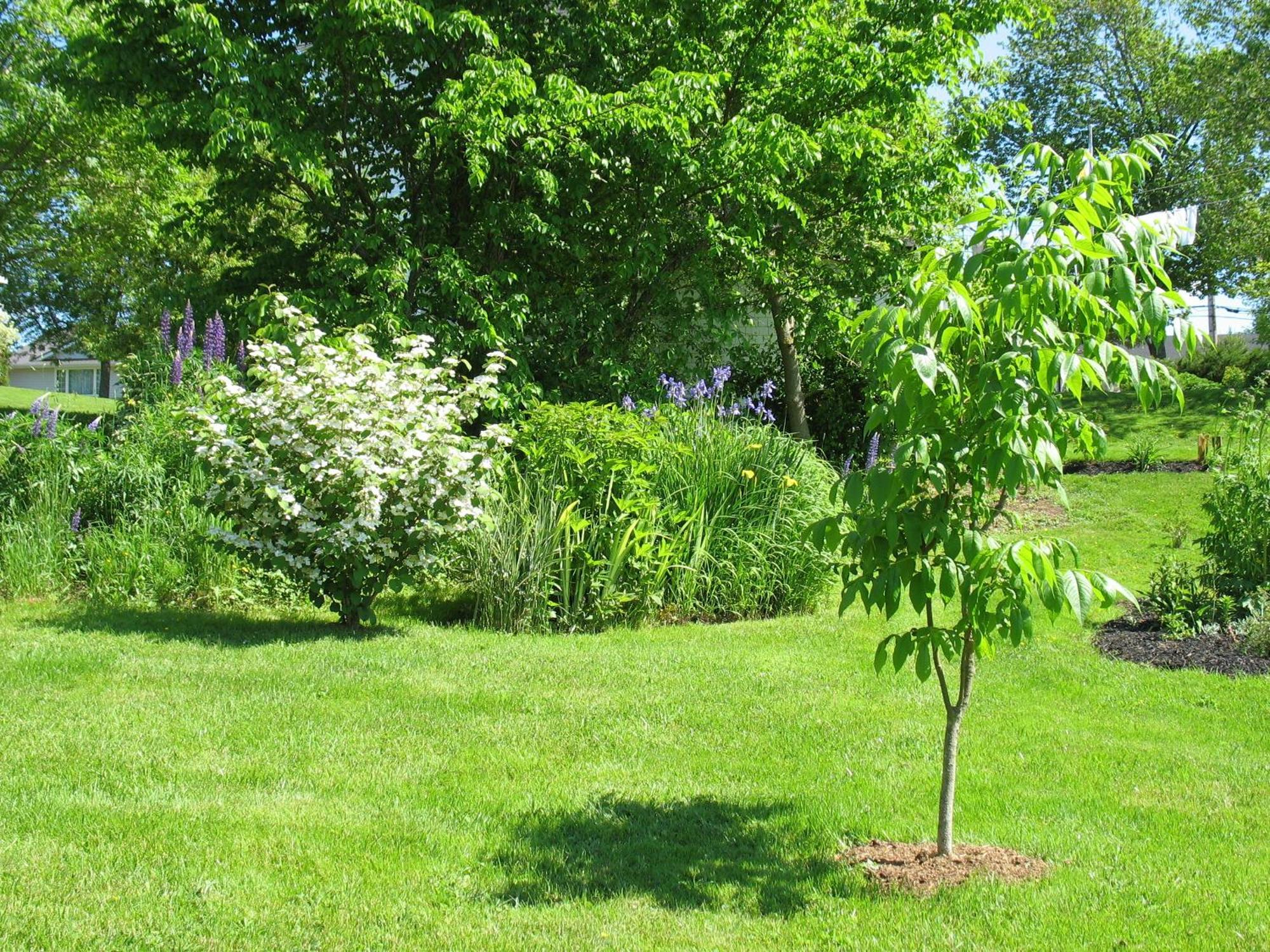 The Nelson House Bed And Breakfast Stewiacke Eksteriør bilde
